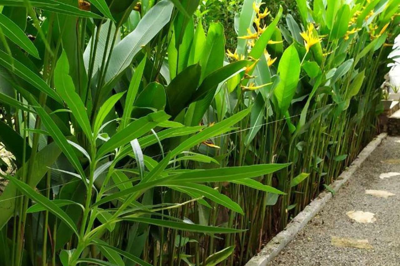 Sunbeam Villa 坦加拉 外观 照片